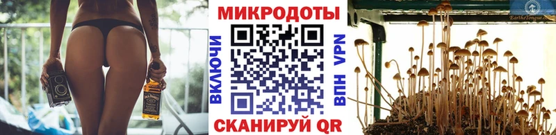 Купить закладки  Галич  Псилоцибиновые грибы GOLDEN TEACHER 